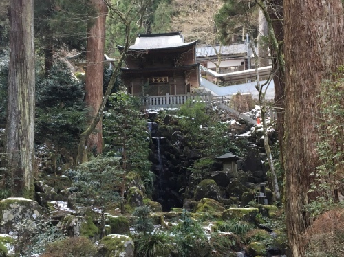 b0330040_21110949.jpeg