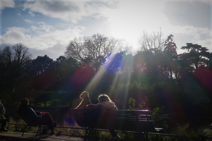e0300042_17272445.jpg