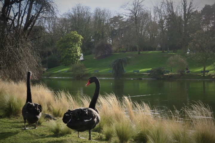 e0300042_17273869.jpg