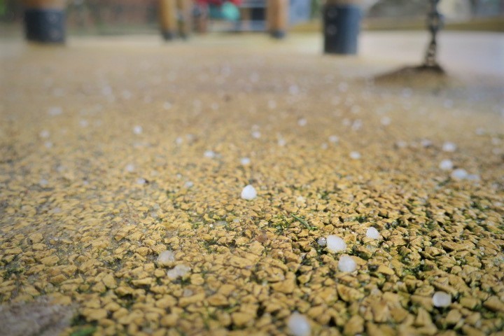 e0300042_17283444.jpg