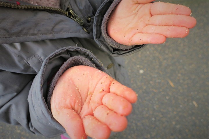e0300042_17383657.jpg