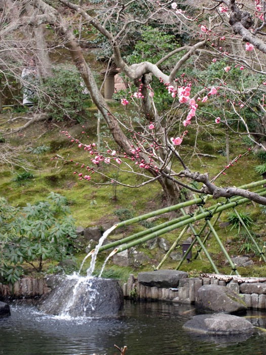 【鎌倉・長谷寺】蝋梅の香りを求めて③_b0009849_16593324.jpg