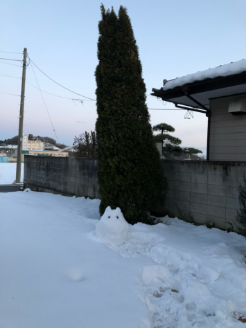 雪だるま_d0160351_17591094.jpg