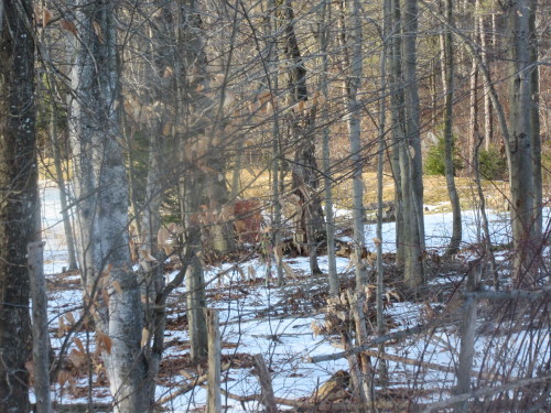 b0247153_10332036.jpg