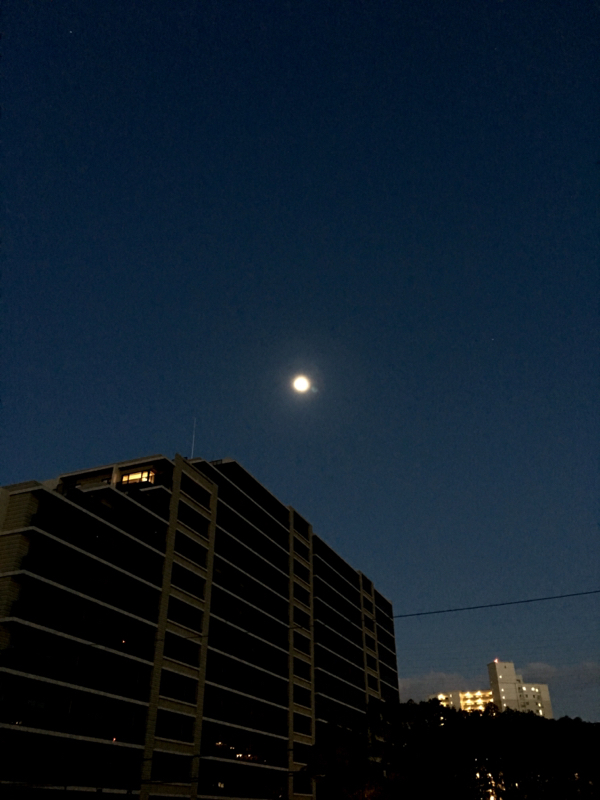 a0226258_07002749.jpg