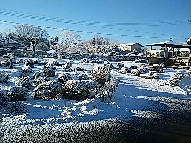 我が家の庭園の雪化粧_e0009760_1394792.jpg