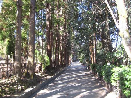 日本滞在　4．　（京都にて　-　四条から嵐山）_a0280569_0421377.jpg