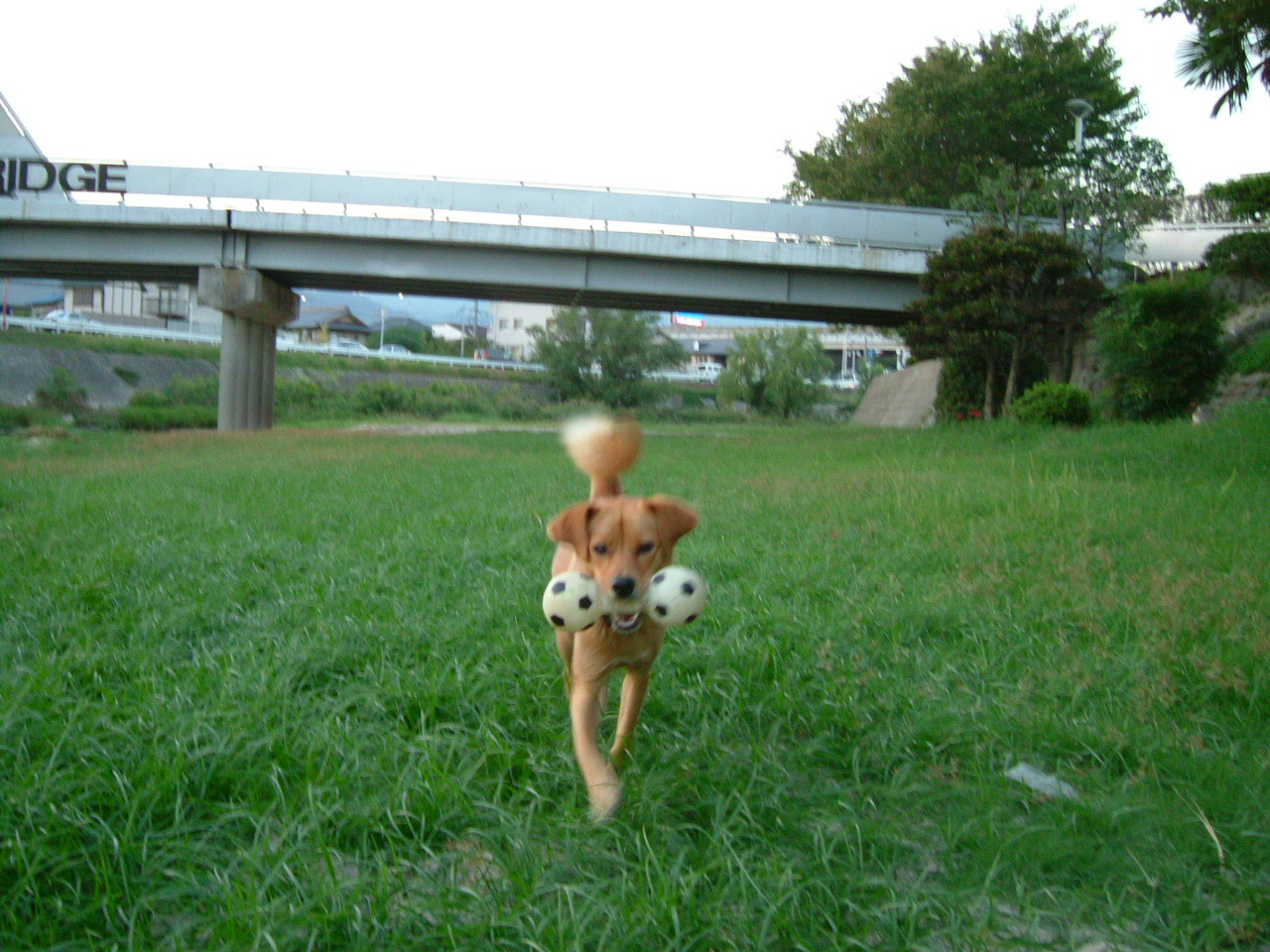 大切な女友達_e0158970_17083480.jpg