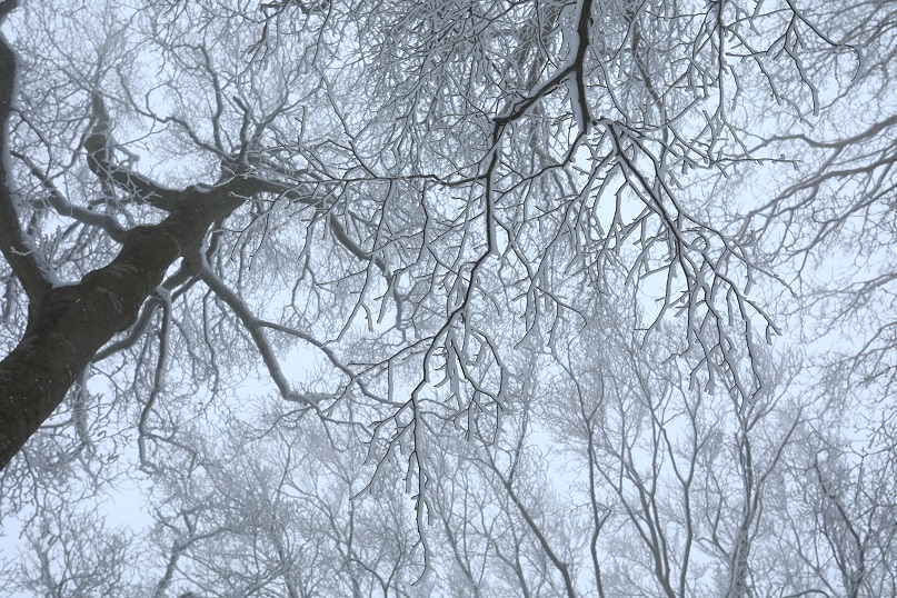e0304170_19043908.jpg