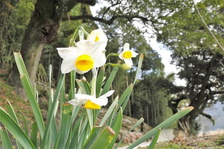 c0248473_17161407.jpg