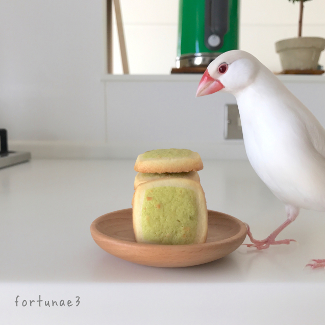 クッキー交渉人はる_f0336579_18512090.jpg