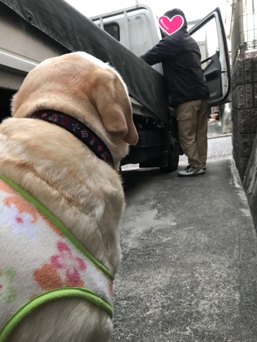 f0315081_21315230.jpeg