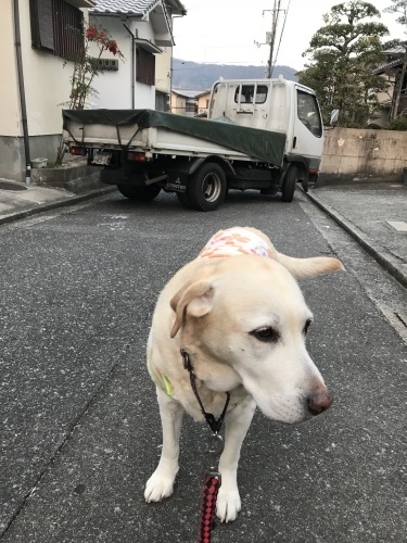 f0315081_21331394.jpeg