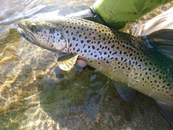c0157482_09035344.jpg