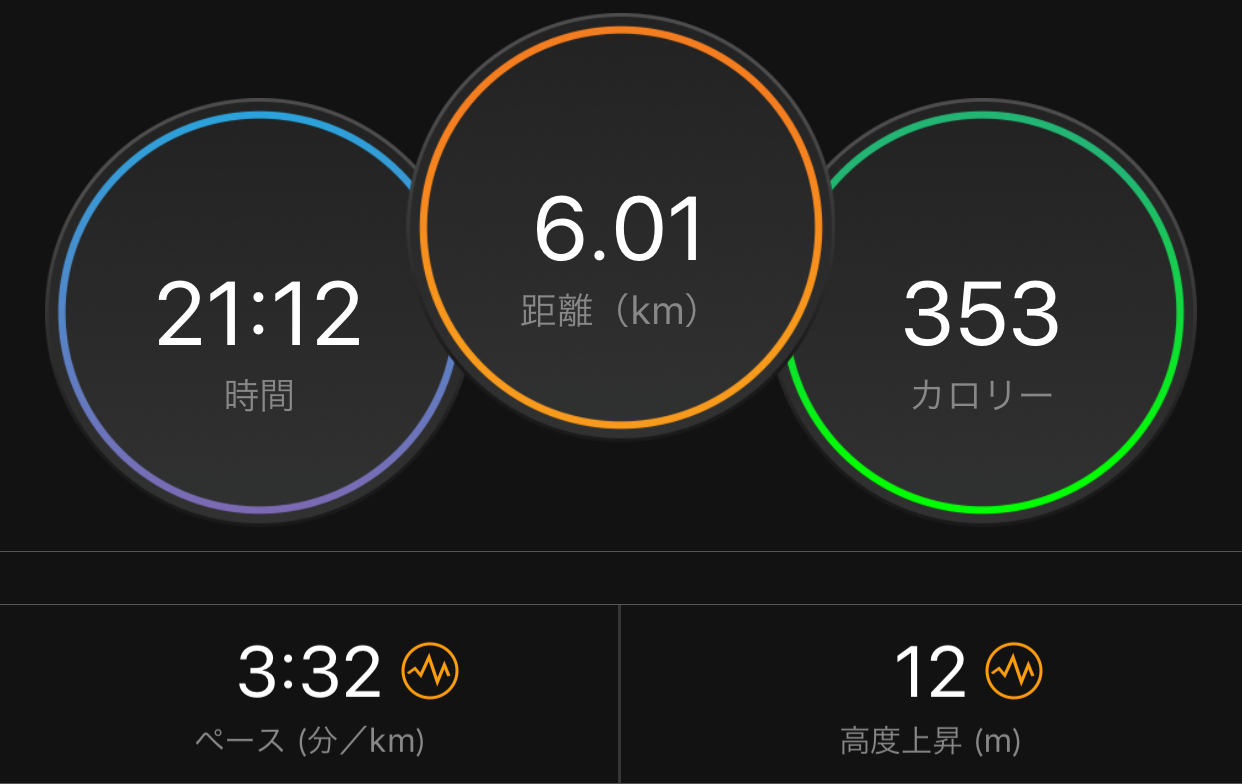 疲労困憊?閾値走_f0310282_22405019.jpeg
