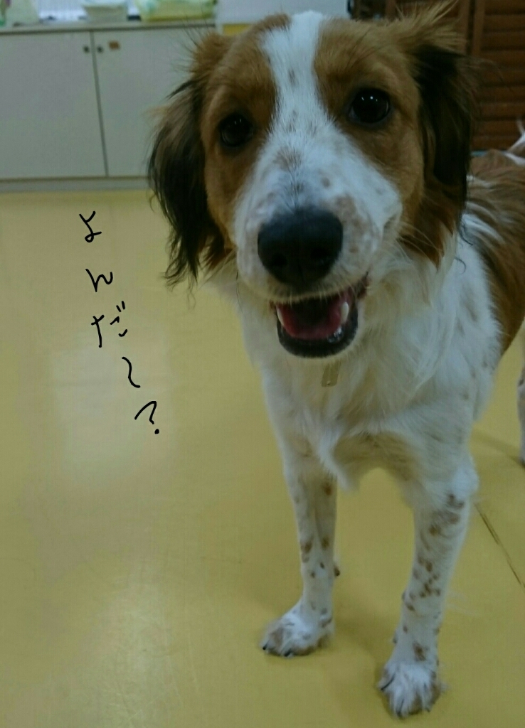 ꫛꫀꪝ✧‧˚face👧_f0357682_00392286.jpg