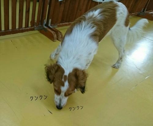 ꫛꫀꪝ✧‧˚face👧_f0357682_00392628.jpg