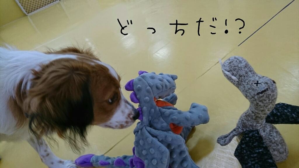 ꫛꫀꪝ✧‧˚face👧_f0357682_00392902.jpg