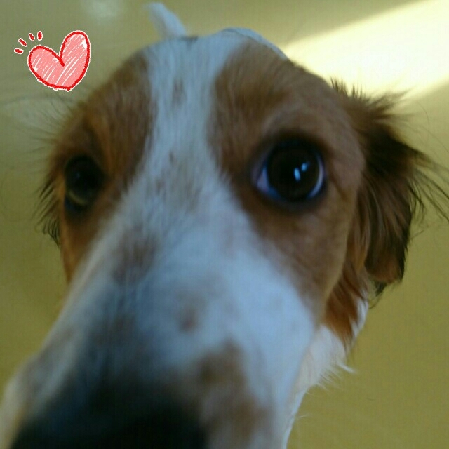 ꫛꫀꪝ✧‧˚face👧_f0357682_00393339.jpg