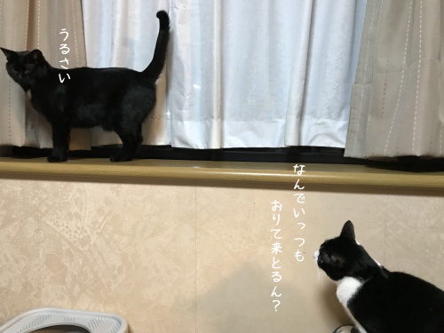 a0216583_11070744.png
