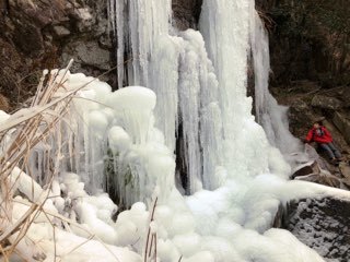 b0035391_19113274.jpeg