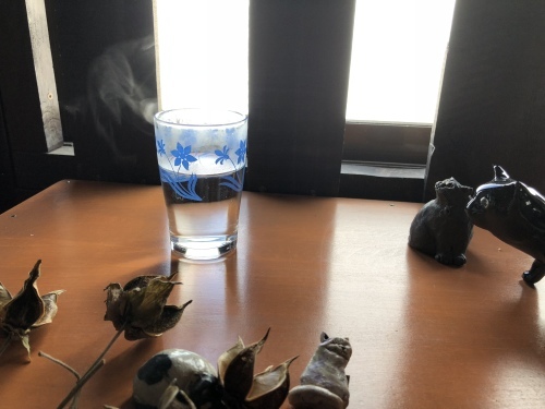 f0215094_19223012.jpeg