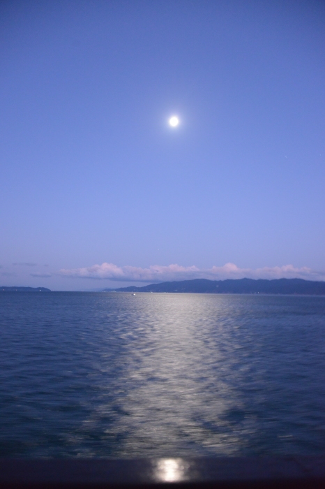 f0268294_20164051.jpeg