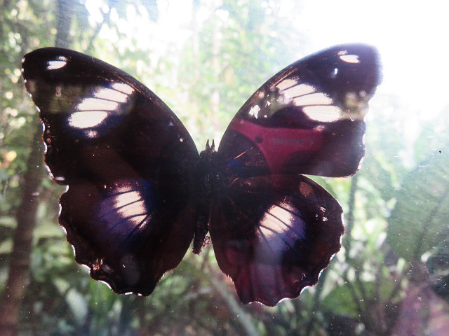 f0346196_20080967.jpg