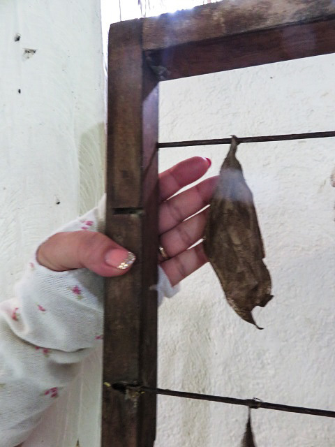 f0346196_20082443.jpg