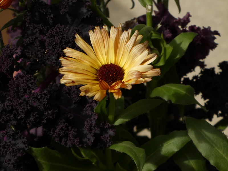 d0261298_6564596.jpg