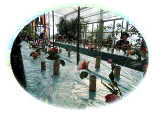 f0231709_04540531.gif