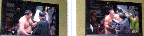 f0231709_06075960.gif