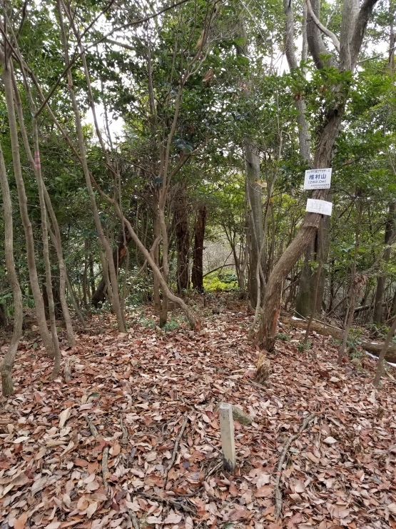 f0219710_19135892.jpg
