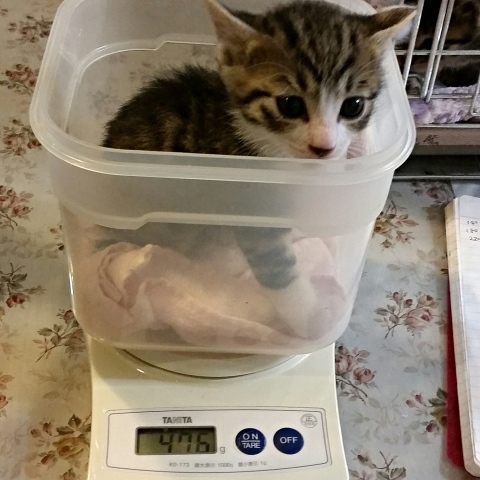 e0144012_06370736.jpeg