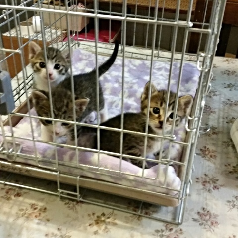 e0144012_07005199.jpeg