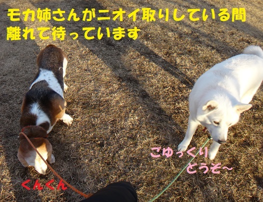 f0121712_15323904.jpg