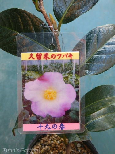 b0099813_0102264.jpg