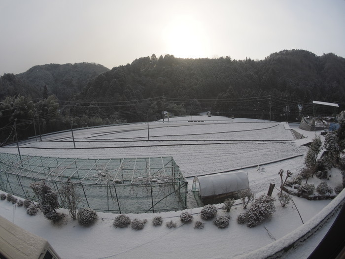 今朝の雪景色_c0116915_00055858.jpg