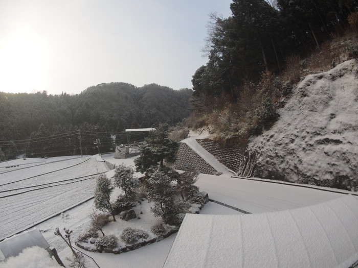 今朝の雪景色_c0116915_00060975.jpg
