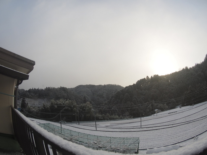 今朝の雪景色_c0116915_00062046.jpg