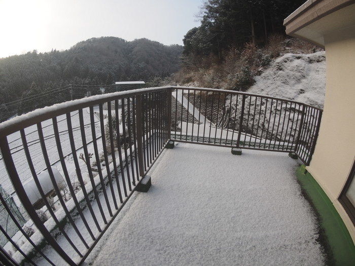 今朝の雪景色_c0116915_00062937.jpg