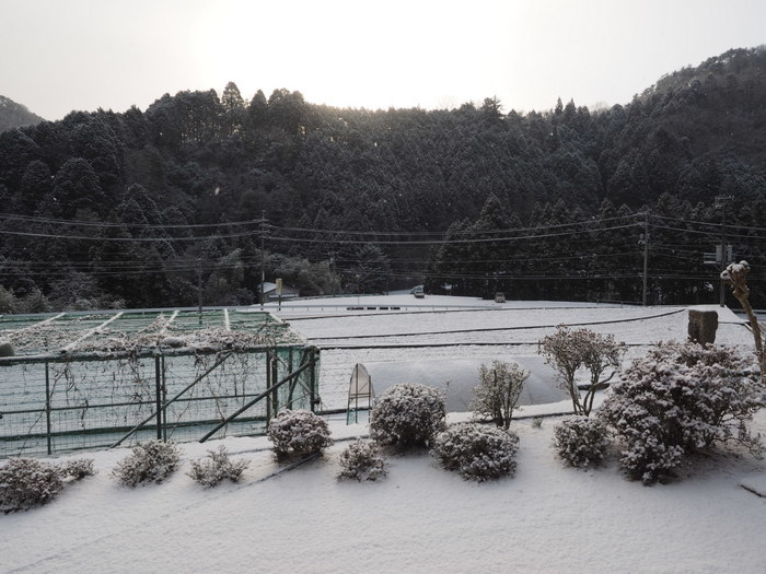 今朝の雪景色_c0116915_00064201.jpg
