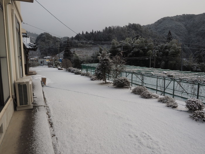 今朝の雪景色_c0116915_00065463.jpg