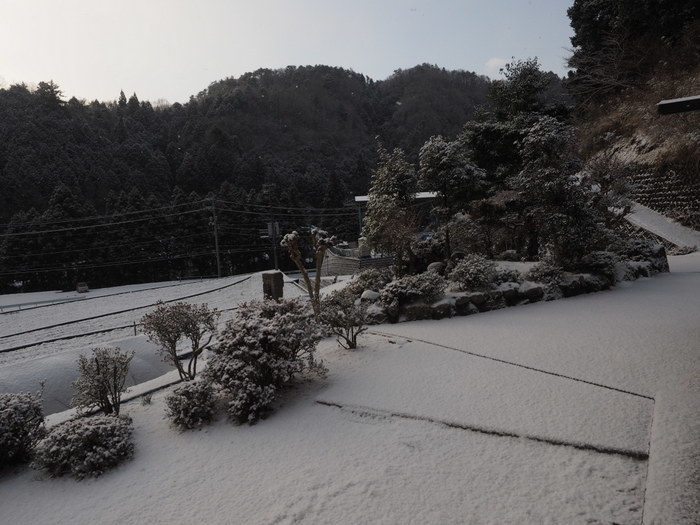 今朝の雪景色_c0116915_00070400.jpg