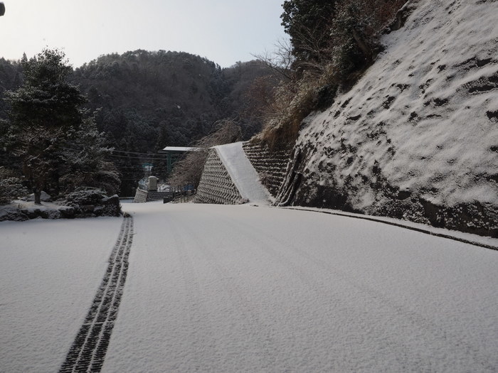 今朝の雪景色_c0116915_00071593.jpg