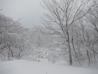 c0359615_00023207.jpg