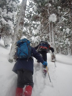 c0359615_00053838.jpg