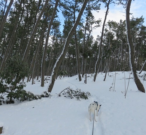c0084117_19224090.jpg