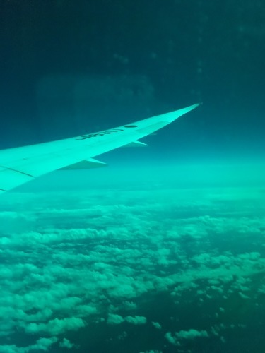e0049318_22191856.jpg