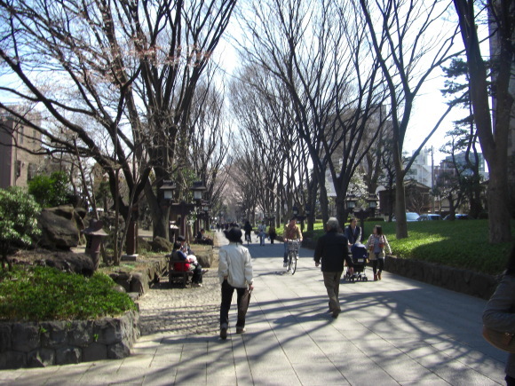 c0074721_15400035.jpg